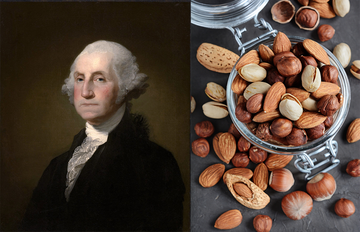 George washington favorite food